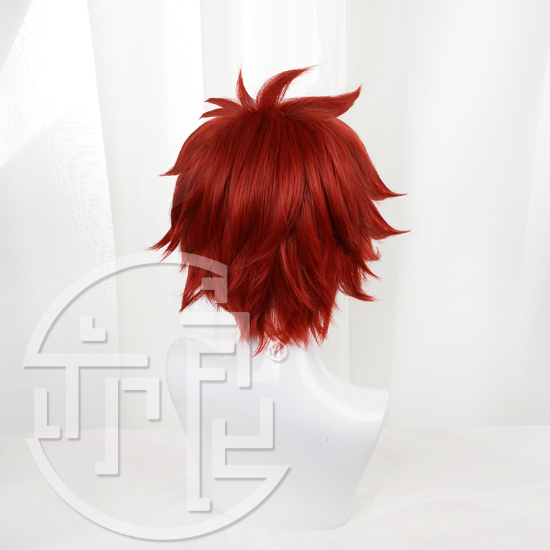 Anime SK8 die Unendlichkeit Re – Anime Cosplay Red Hair Bewertung und Preis