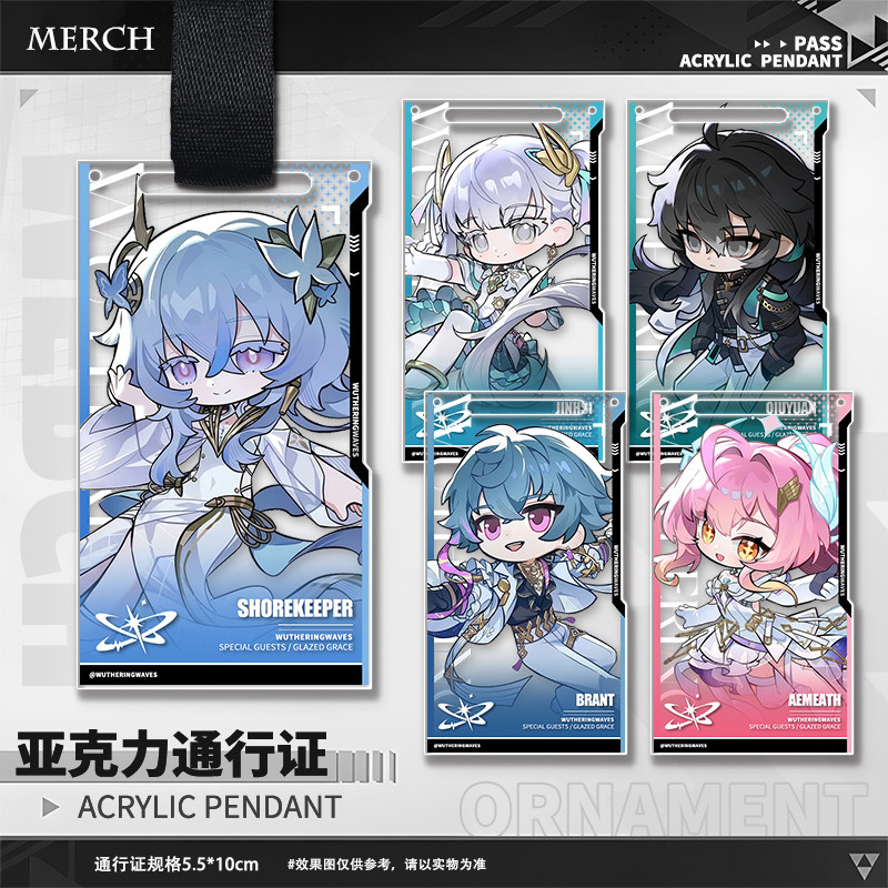 Game Wuthering Waves Aemeath T – Anime Cosplay Event Bewertung und Preis
