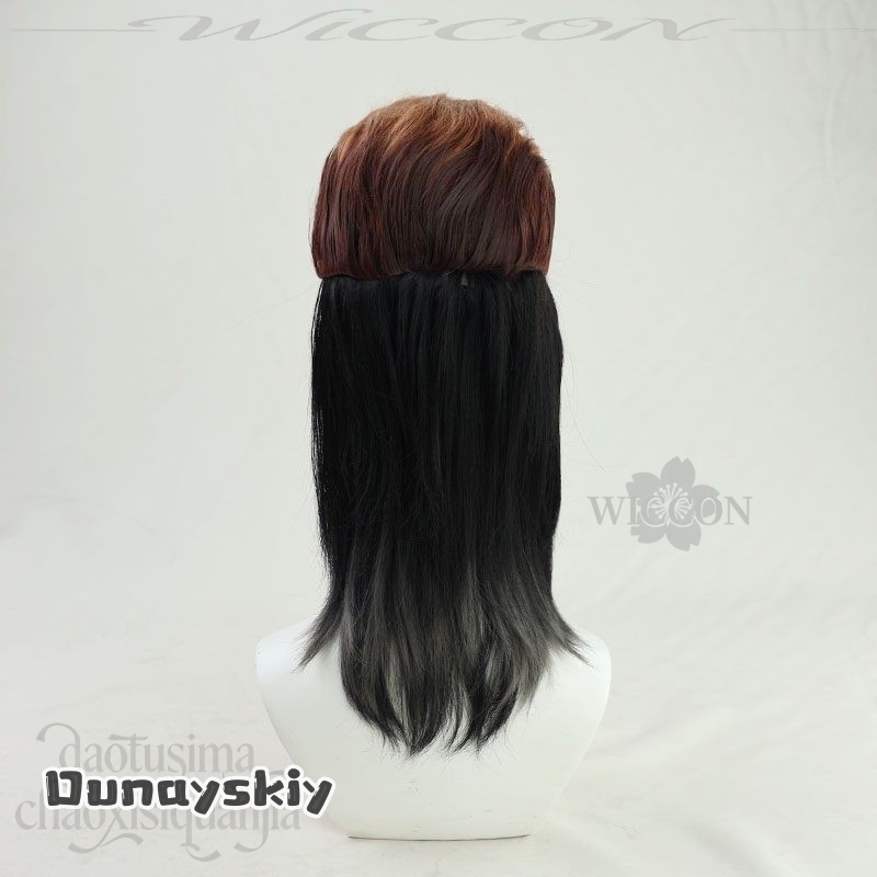 Dream ZS*/Anime Danganronnaaa  – Cosplay Anime Black Hair Bewertung und Preis